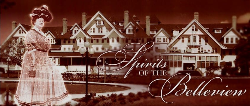 Spirits of the Belleview Biltmore Novels by BonSue Brandvik